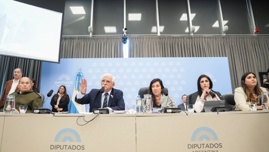 El diputado Carlos Zapata encabeza la reunión de la Comisión de Defensa en la Cámara baja, donde se debate el proyecto de Defensa de la Soberanía. (Foto: prensa Diputados)