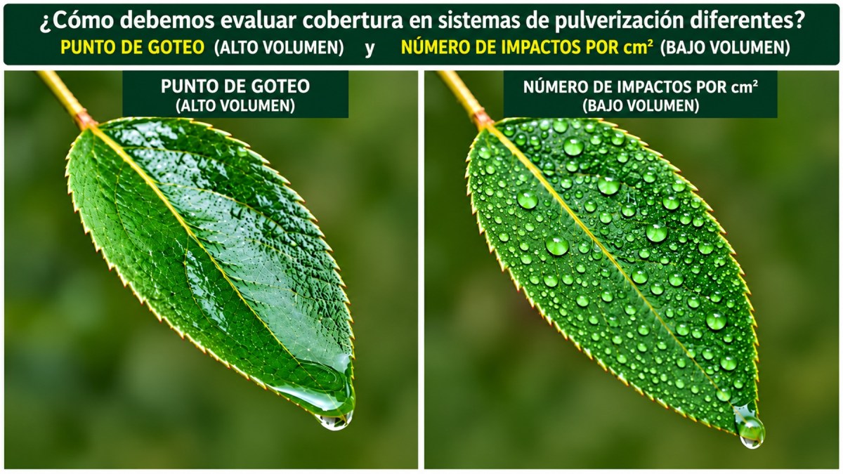 Ilustración de diferencias entre mojado con escurrimiento y distribución de gotas. Son criterios orientativos; ninguno, por sí solo, demuestra eficacia o mide depósito de ingrediente activo.