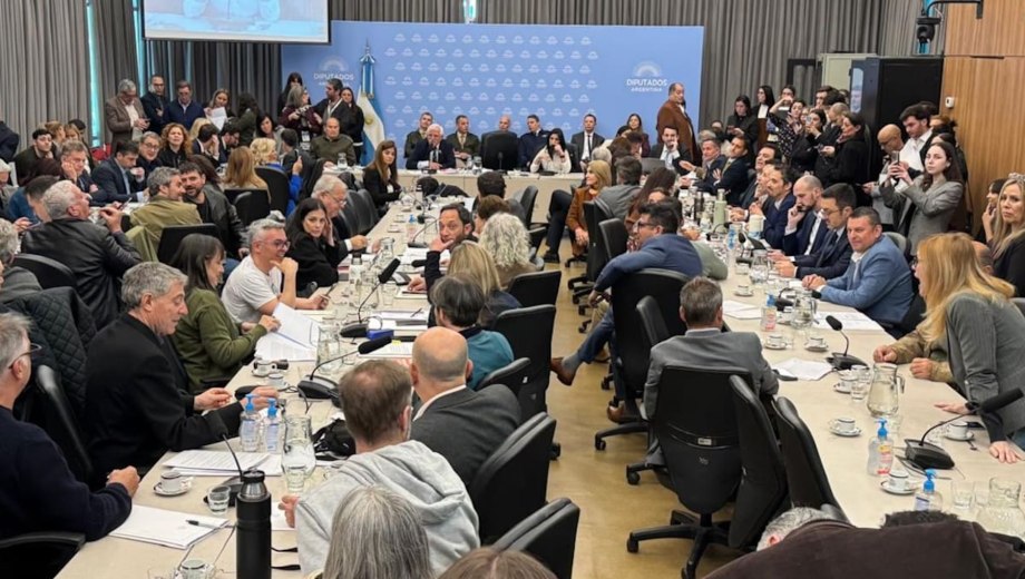Plenario de comisiones en la Cámara de Diputados durante el debate del proyecto de Defensa de la Soberanía Nacional. (Foto: Archivo)