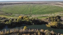 Imagen de Compra de tierras rurales por extranjeros: qué pasa con la ley en Río Negro y Neuquén
