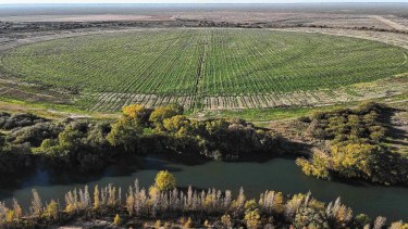 Compra de tierras rurales por extranjeros: qué pasa con la ley en Río Negro y Neuquén