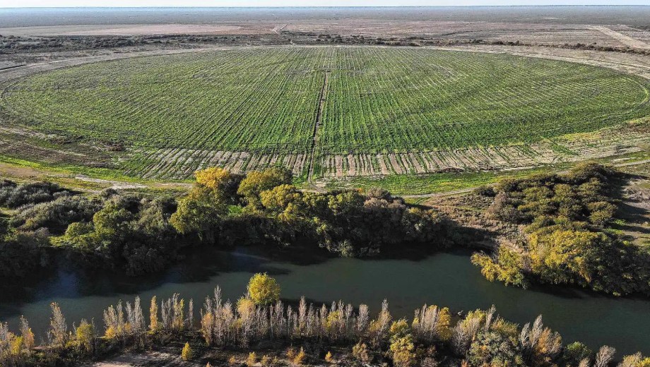 La Corte Suprema suspendió provisoriamente la derogación de la Ley de Tierras y restableció sus restricciones mientras avanza la causa judicial. Foto: archivo. 