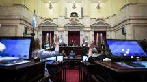 Imagen de El Senado aprobó la reforma de la Ley de Salud Mental: qué cambia en las internaciones involuntarias