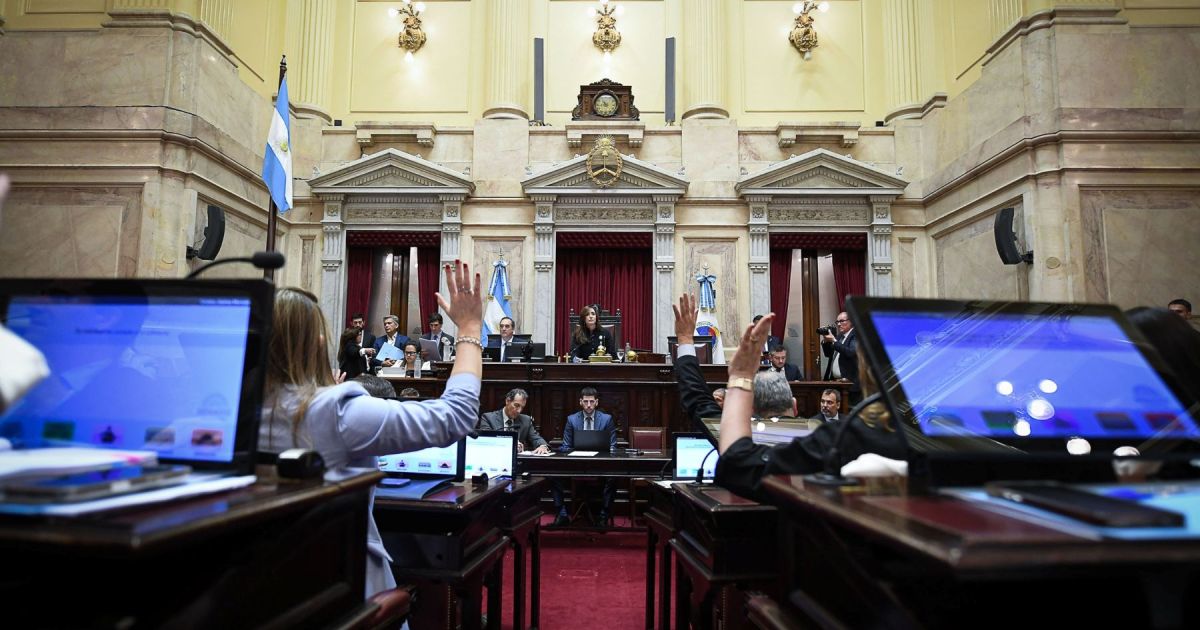 El Senado aprobó la reforma de la Ley de Salud Mental y sus alcances