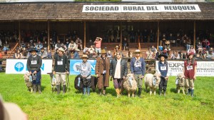 Expo Bovinos 2026 en Junín de los Andes: jóvenes ganaderos y tradición rural marcaron la jornada