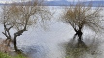 Imagen de El lago Nahuel Huapi subió 70 centímetros en pocos días y está en un nivel atípico para la primavera