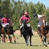 Imagen de La Sarita Polo Club prepara una gran fiesta en Centenario: tres días de polo, entretenimiento y propuestas para toda la familia