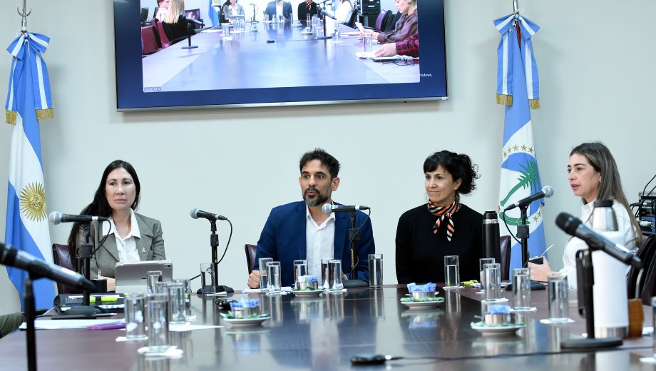 La comisión de Educación dio despacho unánime a la iniciativa que busca instituir el Día Provincial de la Ciencia, la Tecnología y la Innovación Neuquina.