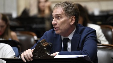 Santilli expondrá ante el Senado mientras el Gobierno busca apoyo para sus reformas