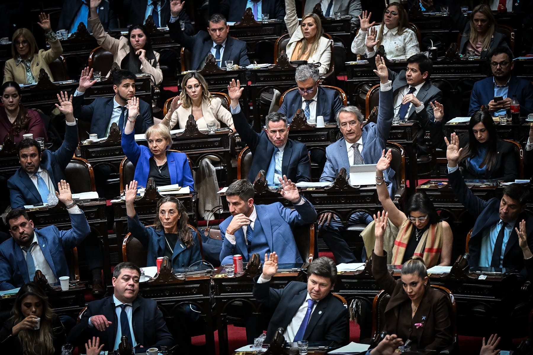 Por amplia mayoría, Diputados aprobó penas contra el vandalismo rural