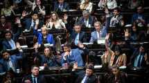 Imagen de Por amplia mayoría, Diputados aprobó penas contra el vandalismo rural