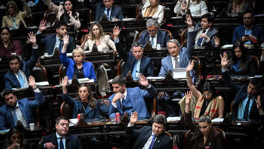 El proyecto contra el vandalismo rural obtuvo 162 votos y pasó al Senado. Foto: Clarín Fotografía 