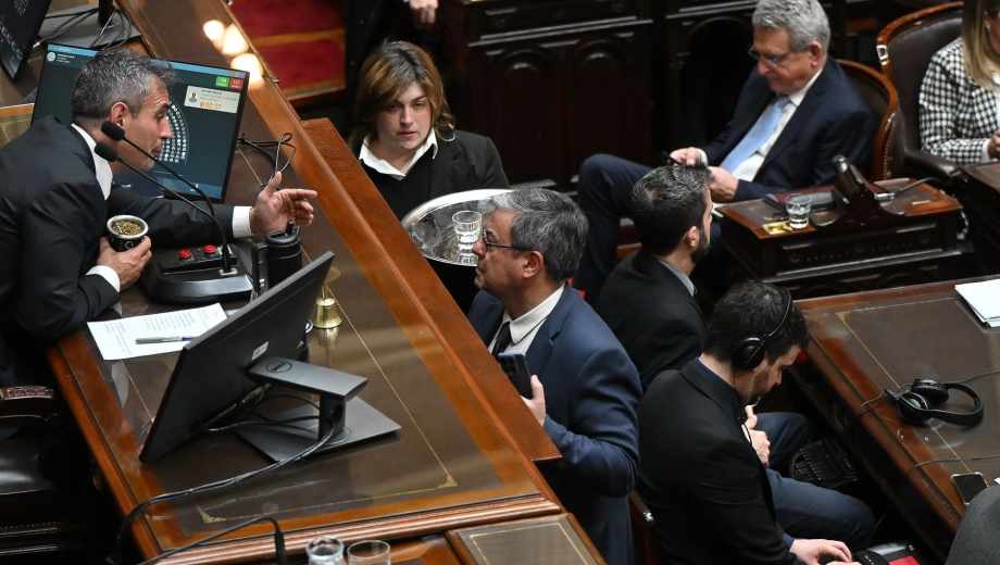 Quórum y gobernadores, las claves de una pulseada opositora. Foto: NA 