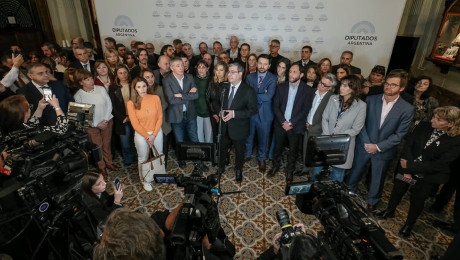 La oposición desafía al Gobierno con una sesión clave en Diputados. Foto: NA 