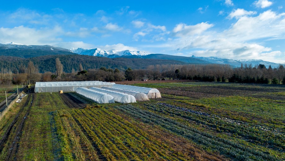 Amarantus es una de las chacras de producción hortícola en El Bolsón. Foto: Gentileza.