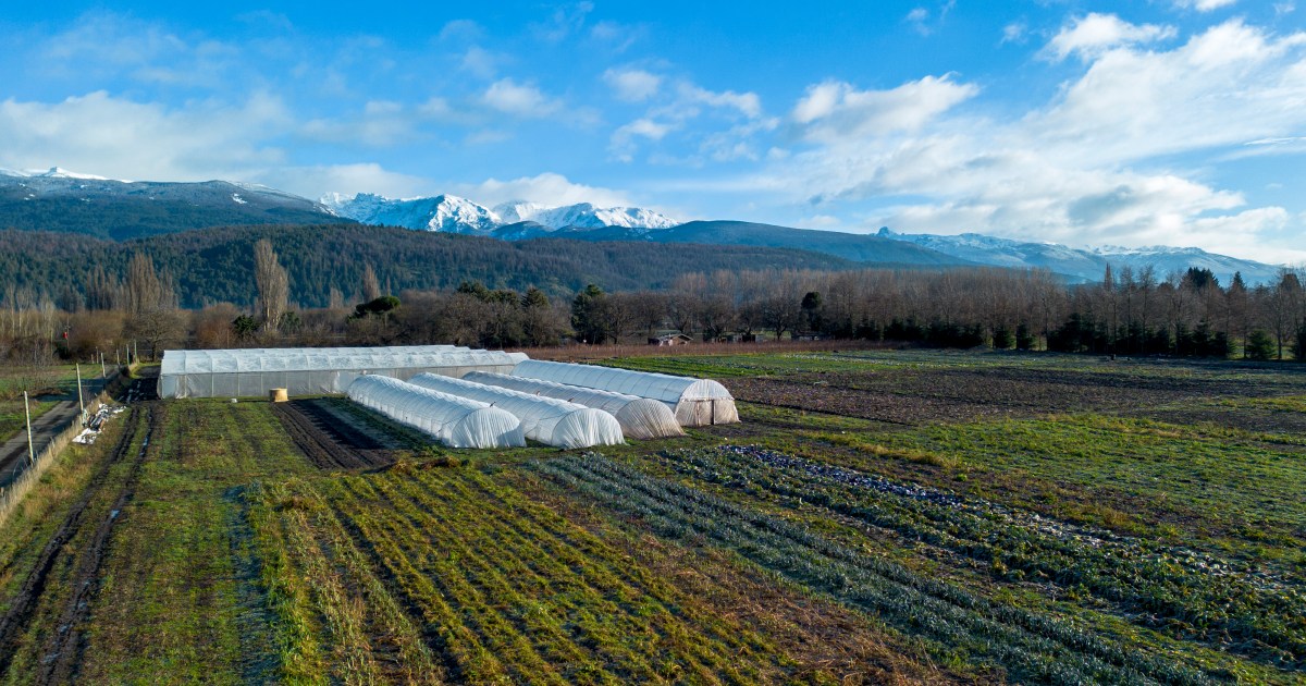 Comienzo prometedor de la temporada agrícola en El Bolsón