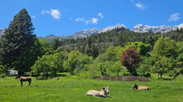 Voluntariado de la Patagonia ofrece alojamiento a cambio de trabajo: cómo acceder y que es Worldpackers