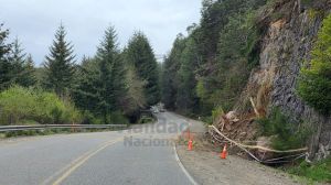 Servicio a la comunidad: por la alerta de lluvia, piden circular con «extrema» precaución sobre la Ruta 40 en Villa La Angostura