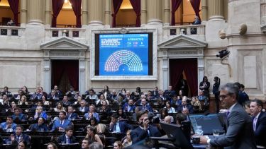 Propiedad Privada: cómo votaron la restitución de la Ley de Tierras los diputados de Neuquén, Río Negro y la Patagonia