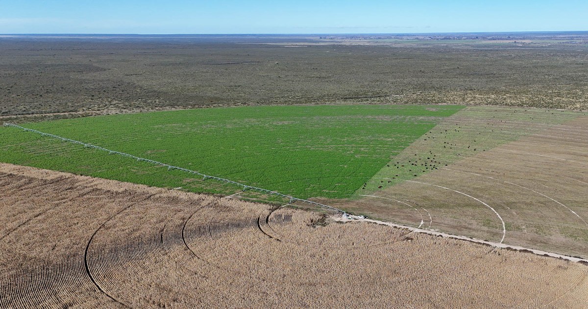 Estrategias para optimizar el riego con pivotes centrales en la agricultura