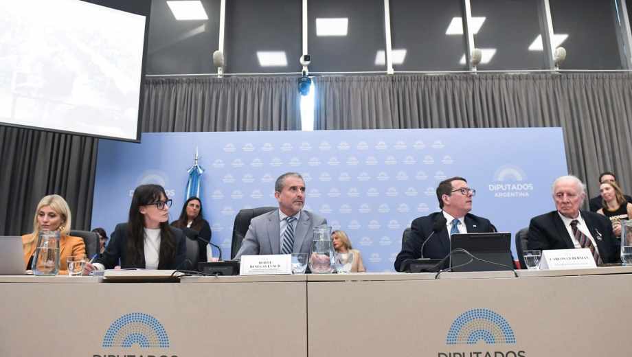 Carlos Guberman, secretario de Hacienda. Foto: gentileza Diputados 