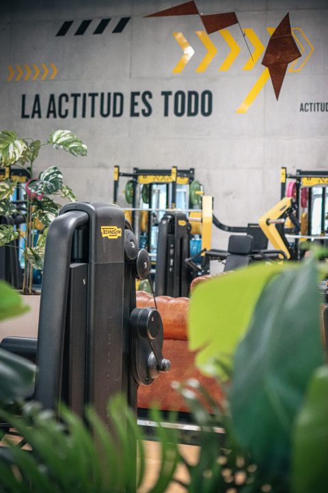 "La actitud es todo": una frase en la pared del gimnasio del Mono Soria, a quien lo describe fielmente.