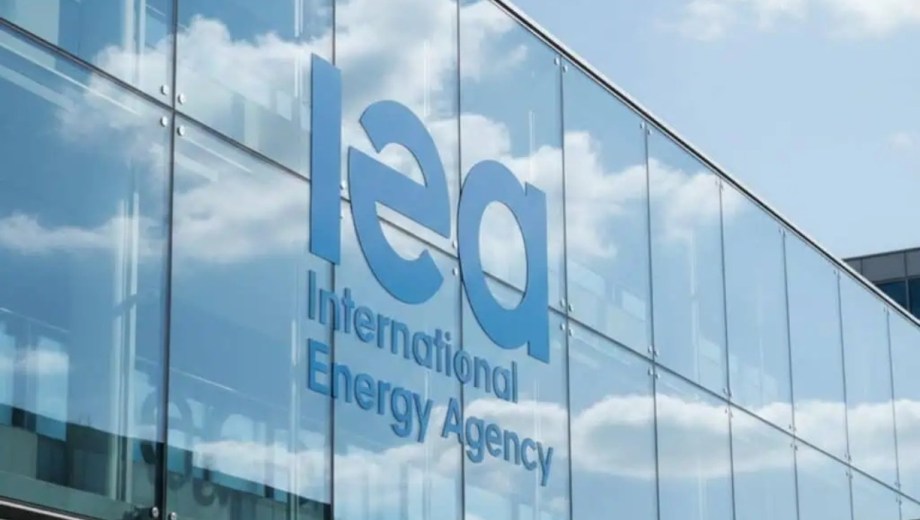 La Agencia Internacional de Energía (AIE) puso el foco en el rol geopolítico y comercial de la Argentina, Foto gentileza.
