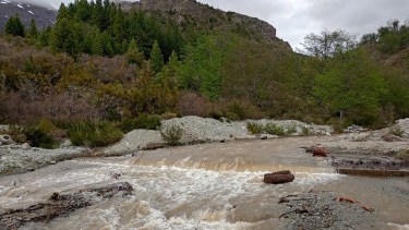 Bariloche: Aguas Rionegrinas despliega un operativo para sostener el servicio ante la turbiedad del Ñireco