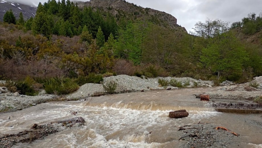 Continúa la turbiedad en el arroyo Ñireco. Aguas Rionegrinas trabaja en la zona para sostener el servicio. Foto: Gentileza.