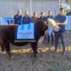 Imagen de Los grandes campeones Angus y Hereford del Alto Valle: mirá todos los ganadores de la jura en la 15° Expo Rural realizada en Roca