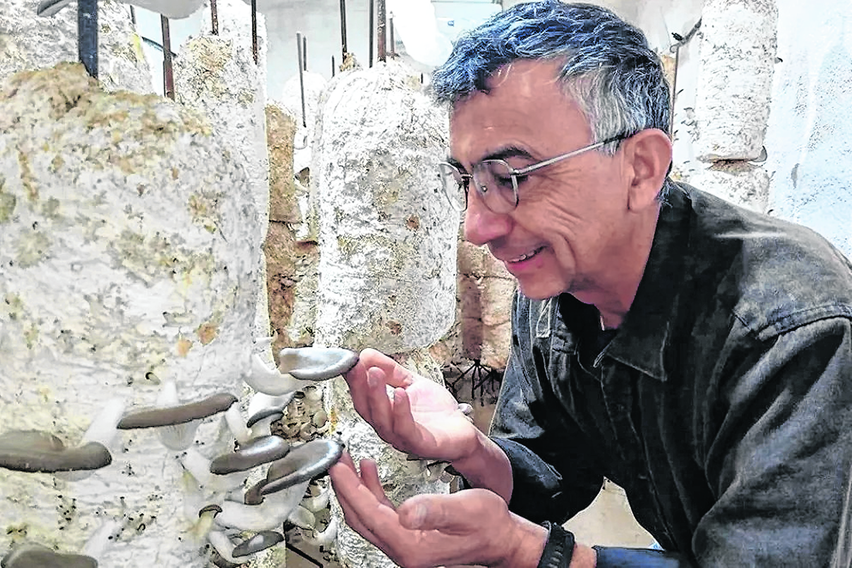 Hongos comestibles en Centenario: el éxito de "Hongos del Neuquén"