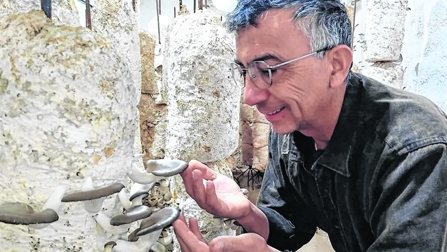 “Mucha gente no conoce sobre hongos comestibles. Nuestro desafío es enseñarles”, afirmaron. Foto: Gentileza.