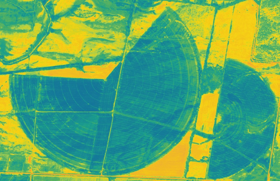 Con imágenes satelitales se pueden identificar sectores anómalos y mejorar la programación del riego.