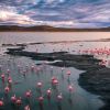 Imagen de Una laguna revivió en la Patagonia después de 12 años y Jacobacci invita a viajar para descubrir su encanto