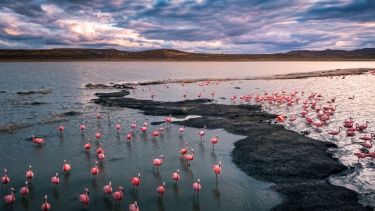 Una laguna revivió en la Patagonia después de 12 años y Jacobacci invita a viajar para descubrir su encanto