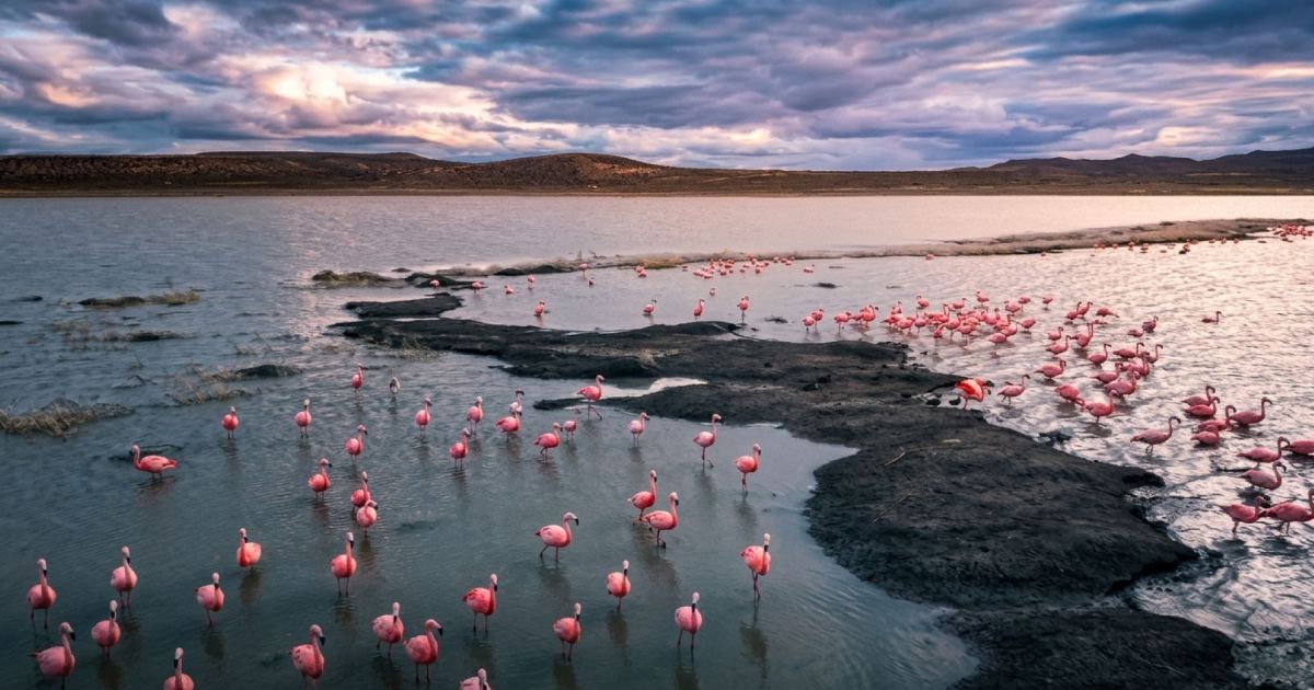 Regresa el agua a la laguna Carrilaufquen en Jacobacci tras 12 años