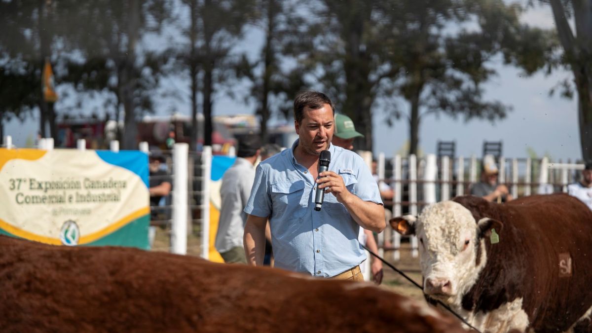 El especialista sostiene que el desafío de la ganadería es lograr animales más pesados sin perder rusticidad y adaptación a los distintos ambientes. Foto: Luciano Cutrera.