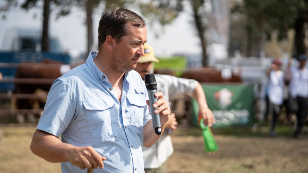 La funcionalidad, la fertilidad y la capacidad de adaptación son algunas de las características que considera centrales al momento de evaluar un reproductor. Foto: Luciano Cutrera.