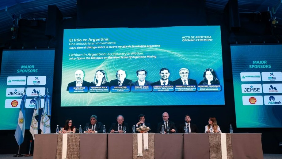 Lucero habló en el Seminario Litio en Sudamérica de Panorama Minero, realizado en Jujuy. Foto: gentileza.