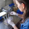 Imagen de Salud pública en Neuquén: creció la cantidad de usuarios y ya supera los 10 millones de prácticas de laboratorio