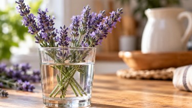 Por qué cada vez más personas ponen una ramita de lavanda en un vaso con agua: el truco que pocos conocen