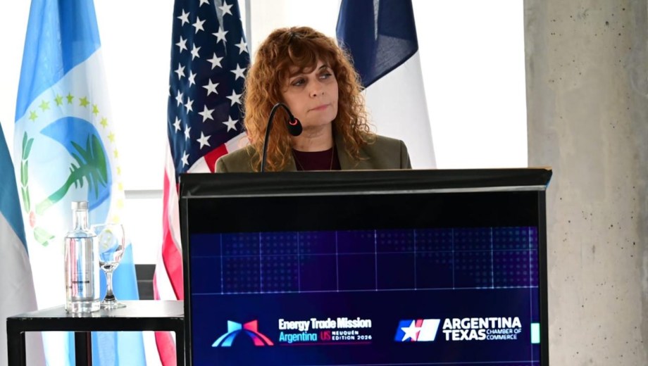 María Pasqualini, secretaria de la Jefatura de Gabinete de la Municipalidad de Neuquén, durante su exposición ante empresarios locales y extranjeros. (Foto: gentileza)