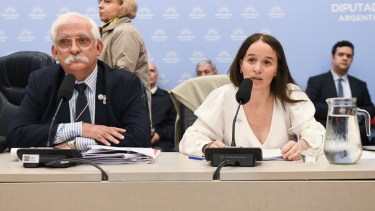 El Gobierno rechazó fragmentar la “Ley Malvinas” y justificó los cambios en defensa
