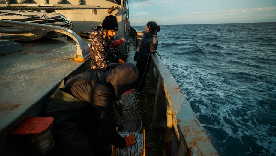 Una nueva expedición científica permitió conocer el fondo del Golfo San Matías. Foto: Matías Acuña