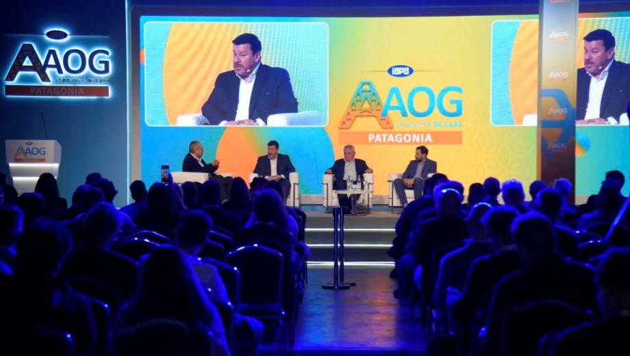 La presentación de los referentes locales sirvió de cierre para la AOG Patagonia 2026. Foto: gentileza IAPG. 