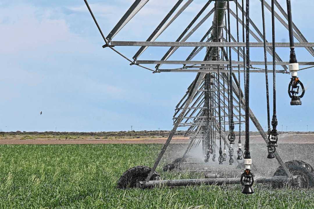 La selección del aspersor es una decisión ingenieril estratégica.