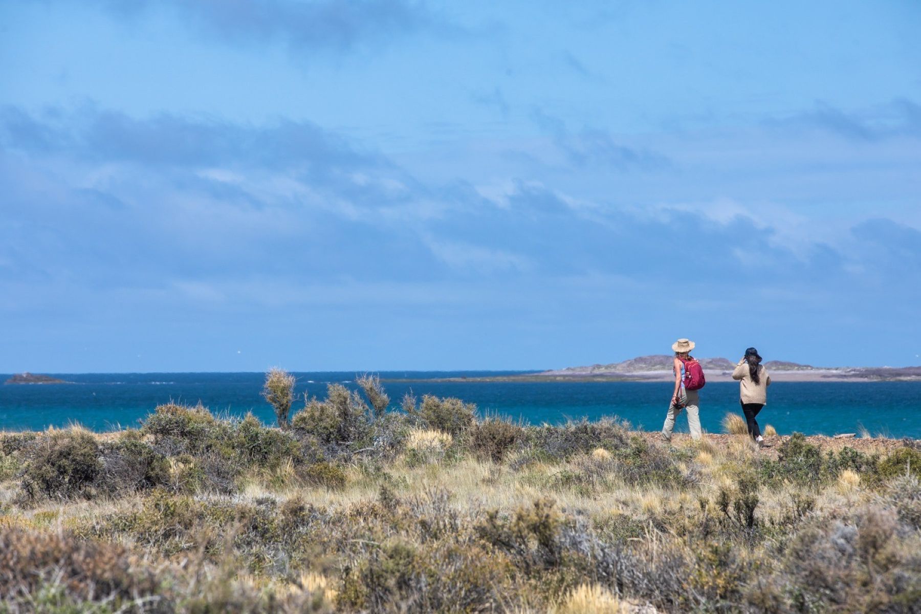 Camping gratuito en Bahía Bustamante para disfrutar de la Patagonia