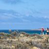 Imagen de Gratis y frente al mar de la Patagonia: el camping para dormir entre la estepa y las aves migratorias