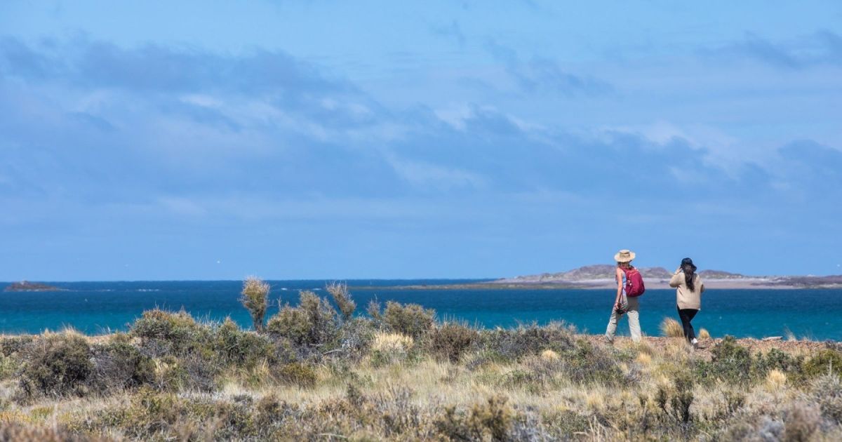 Camping gratuito en Bahía Bustamante para disfrutar de la Patagonia
