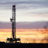 Imagen de Especialistas en inversión de capital de Texas identifican en Vaca Muerta el potencial que tuvo Permian